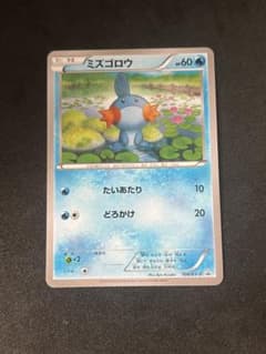 ミズゴロウ ダブルクライシス 購入キャンペーン PROMO XYシリーズ ミズゴロウ ダブルクライシス 購入キャンペーン PROMO XYシリーズ
