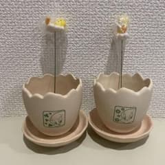 【新品未使用】Tweety/トゥイーティー ガーデニング プランターのサムネイル