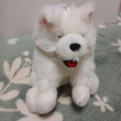 AMUSE サモエドくん ごきげん ぬいぐるみ マスコットのサムネイル