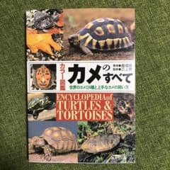 カメのすべて : 世界のカメ124種と上手なカメの飼い方のサムネイル
