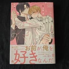 嫌よ嫌よも好きのうち/はやし燈のサムネイル