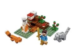 LEGO Minecraft 21162 레고 블록 장난감