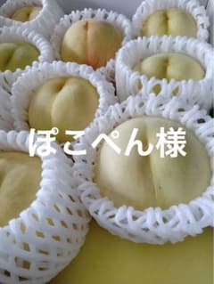 ぽこぺん様専用　白皇のサムネイル