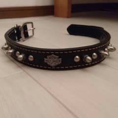 ハーレーダビッドソン Harley-Davidson 犬 首輪 - メルカリ