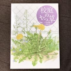 校庭のざっ草のサムネイル