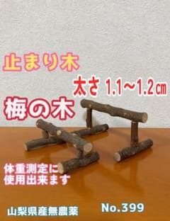 止まり木　No.399 梅の木　山梨県産完全無農薬　小鳥　ハンドメイド