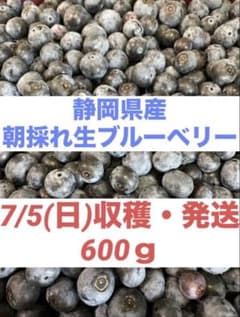 【静岡県産・無農薬】生ブルーベリー 600gのサムネイル