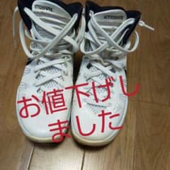 NIKEハイパーダンク2015のサムネイル