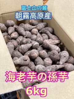 海老芋の孫芋のサムネイル