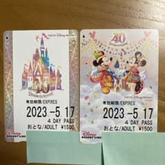 リゾートラインフリーきっぷ使用済みチケット2枚のサムネイル