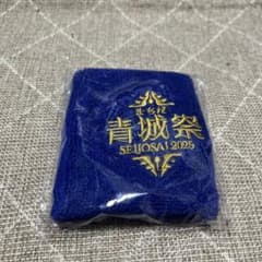 FC町田ゼルビア 青城祭 リストバンド ブルーのサムネイル