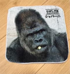 東山動物園　シャバーニのタオルハンカチのサムネイル