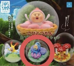 こびとづかん カプリウムコレクション アメボウシのサムネイル
