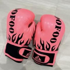 ボクシンググローブ GROOFOOのサムネイル
