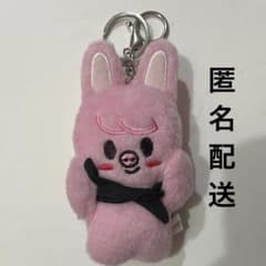 StrayKids SKZOO 10cm マグネットキーリング チャンビン - メルカリ