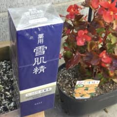 コーセー 薬用 雪肌精 エンリッチ（しっとり） 化粧水 ３６０ｍＬのサムネイル