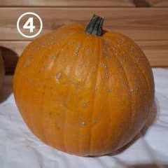 No-4 ハロウィンカボチャ本物飾り用 送料込のサムネイル