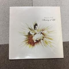 Calm presents K.F. Shining of Lifeのサムネイル