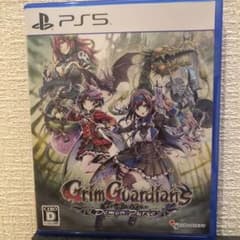 Grim Guardians : Demon Purge 通常版 PS5版のサムネイル