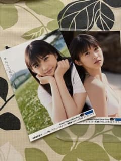 牧野真莉愛 写真集 せんこう花火 クリアファイル付属2L生写真※クリアファイル無