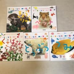 ☆スーパーワイドずかん 全11冊セットのサムネイル