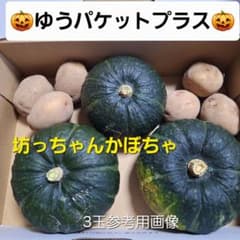 北海道産　坊ちゃんかぼちゃゆうパケットプラスサイズ　送料込のサムネイル