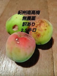紀州南高梅 無農薬 訳あり 2.5キロ - メルカリ