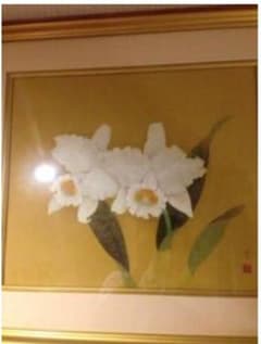 関山慶　カトレアのサムネイル
