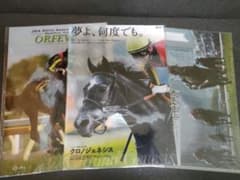 クロノジェネシス ヒーロー列伝 クリアファイル JRA 競馬 - メルカリ