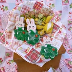 カントリー雑貨❤️多肉植物❣️キュートなうさぎさんとクローバー❣️のサムネイル