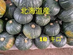 かぼちゃ 10キロ 北海道産 ほっこりうららのサムネイル