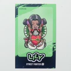 릴리 미니 캐릭터 체키풍 카드 스트리트 파이터 6 프린세스 카페