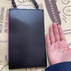 雑誌付録：BEAMS特製　軽量薄型ポシェット