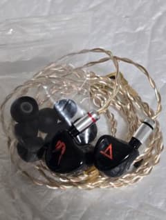 【名機】JH Audio Michelle ナノレジン補強済 Labkable付 名機】JH Audio Michelle ナノレジン補強済 Labkable付 - メルカリ