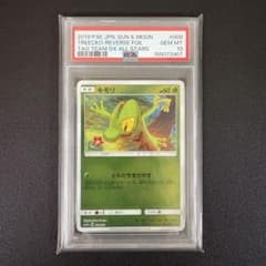 PSA10 キモリ ミラー 008/173 ポケモンカード こみやトモカズ PSA10 キモリ ミラー 008/173 ポケモンカード こみやトモカズ - メルカリ