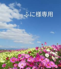 【ふに様専用】エクスプレスパス7 2枚のサムネイル