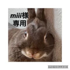 ハンドメイド バネ口ポーチのサムネイル