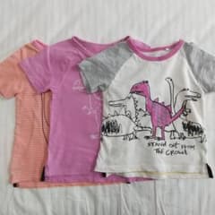 next 半袖Tシャツ 2-3years 恐竜 3枚セットのサムネイル