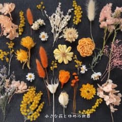 ✤花材セット5✤イエローオレンジ系たっぷり15種以上✤ドライ✼プリザーブドのサムネイル