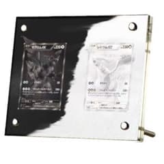 【新品】ゼクロムex レシラムex BWR ディスプレイフレーム