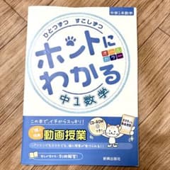 CD付き ひとつずつ すこしずつ ホントにわかる 中1数学のサムネイル