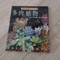 値下げ！多肉植物ユニークな形と色を楽しむ❁NHKのサムネイル