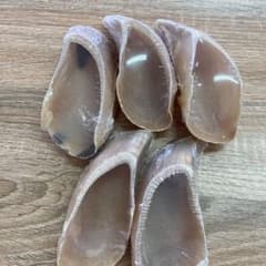 犬用おやつ 牛つめ5個セットのサムネイル