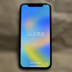 [Junk] iPhone XS 256GB, Face ID not working, speaker malfunction.