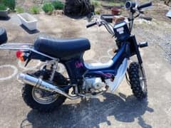 m76182811147_1.jpg?1742815843