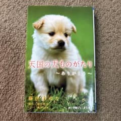 天国の犬ものがたり～ありがとう～のサムネイル