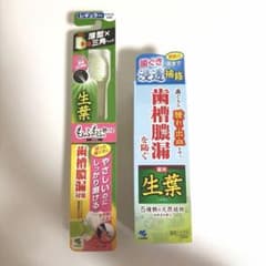 小林製薬 生葉歯磨き粉＆歯ブラシセットのサムネイル