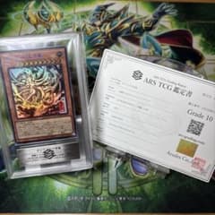 遊戯王】三幻神 掛軸の相場は？限定品やミニ掛軸の価格を徹底比較