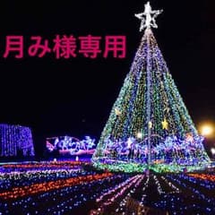 ☆月み様専用☆のサムネイル