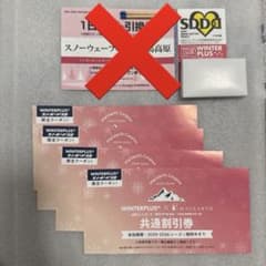 共通割引券　winterplus×macearthのサムネイル